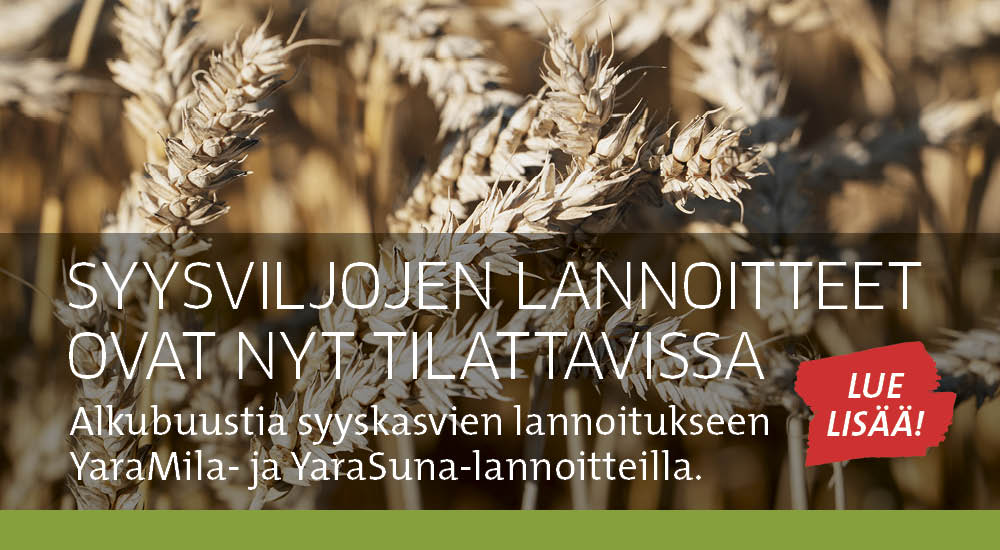 Syysviljojen lannoitteet